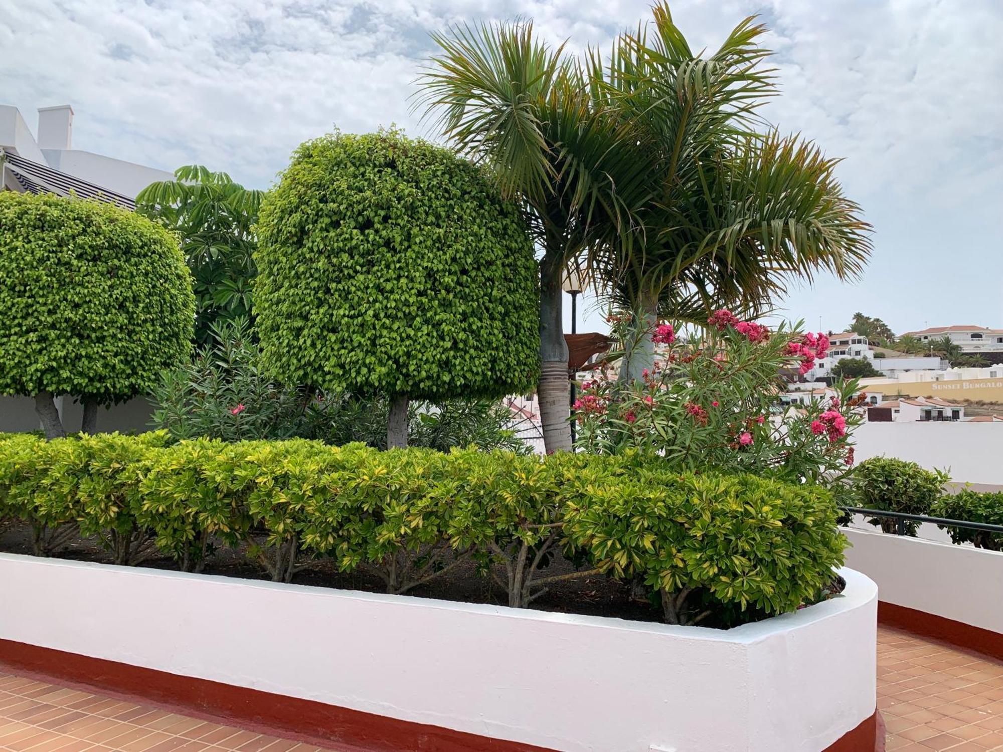 Ocean Breeze And Seaview Resort Costa Adeje  Exteriör bild